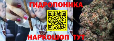 гашик Гатчина