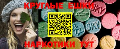 гашик Гатчина