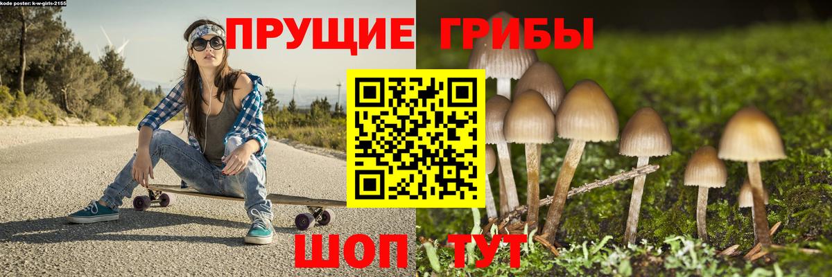 Галлюциногенные грибы прущие грибы  Галлюциногенные грибы мицелий  Вход с VPN  Набережные Челны 